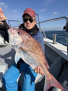 真鯛のイメージ