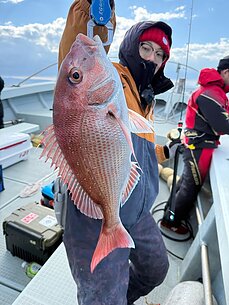 真鯛のイメージ