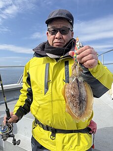 甲イカのイメージ