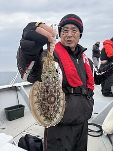 甲イカのイメージ