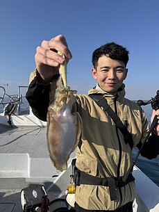 甲イカのイメージ