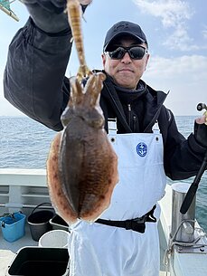 甲イカのイメージ