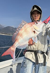 真鯛のイメージ