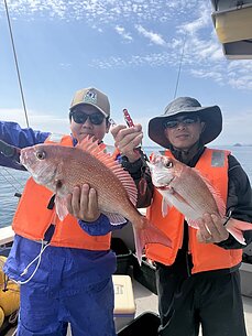 真鯛のイメージ