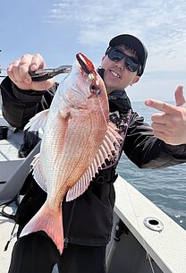 真鯛・マダコリレーのイメージ