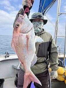 真鯛のイメージ