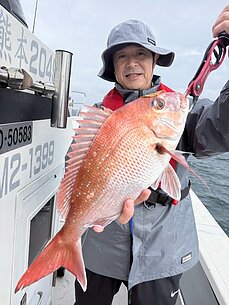 真鯛のイメージ