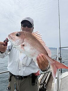 真鯛のイメージ