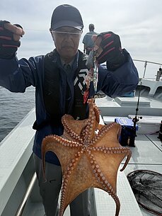 マダコ・アジのイメージ
