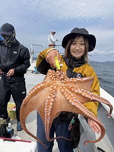 マダコのイメージ