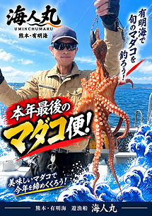 マダコ