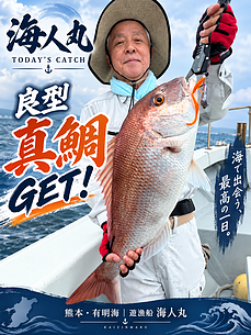 真鯛のイメージ