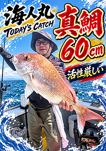 真鯛のイメージ