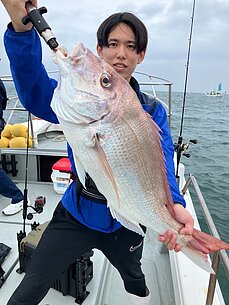 真鯛