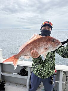 真鯛のイメージ
