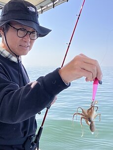 イイダコのイメージ