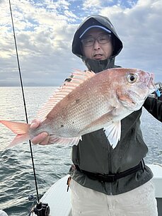 真鯛のイメージ